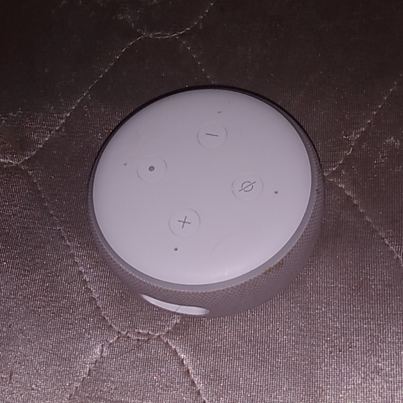 Alaxa - Picture 1 of 1